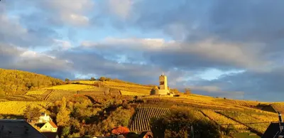Paysage naturel près de le B&B/chambre d'hôtes