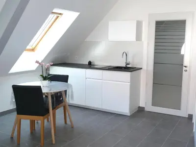 Cuisine ou kitchenette dans l'établissement Charmant sudio aux portes de Colmar