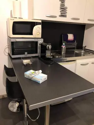 Cuisine ou kitchenette dans l'établissement Beau Studio M Euroairport Basel-Freiburg