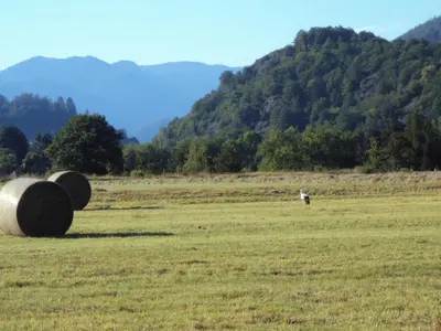 Paysage naturel près de la maison de vacances