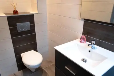 Salle de bains dans l'établissement Gîte du Figuier 4 à 6 personnes Sélestat Centre-Alsace