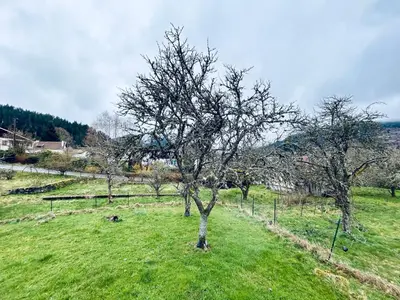 Paysage naturel près de le chalet
