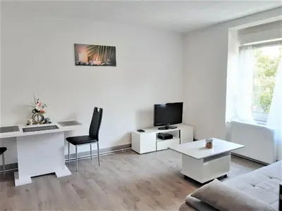 Télévision ou salle de divertissement dans l'établissement Comfort Stay Basel Airport RC46B