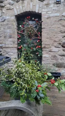 Jardin de l'établissement Naova Cosy Studio