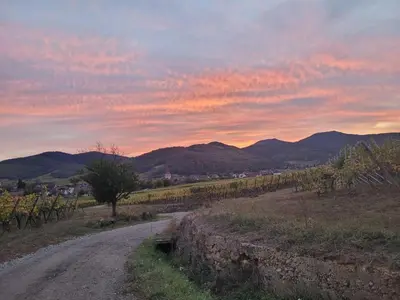 Paysage naturel près de l'appartement