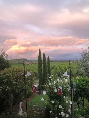 Paysage naturel près de la maison d'hôtes