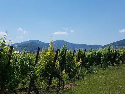 Paysage naturel près de la maison d'hôtes