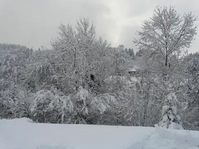 L'établissement Chalet Les Sapins Argentés en hiver