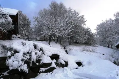 L'établissement Chalet Les Sapins Argentés en hiver