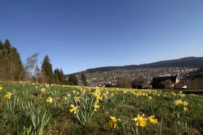 Vue générale sur la montagne ou vue sur la montagne depuis la villa