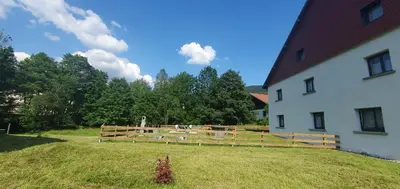 Jardin de l'établissement appart lièvre 4 étoiles