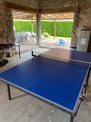 Tennis de table au sein de l'établissement Le 128, duplex alsacien 10 personnes, piscine ou à proximité