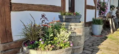 Jardin de l'établissement Aux 3 marteaux