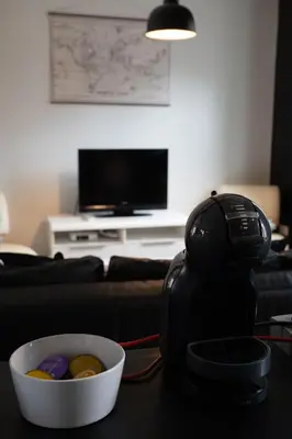 Télévision ou salle de divertissement dans l'établissement Le petit boulanger, grand 70 m2, garage disponible