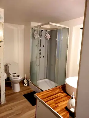 Salle de bains dans l'établissement charmant appartement alsacien