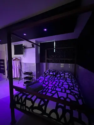 Un ou plusieurs lits dans un hébergement de l'établissement Le 7 - Appartement cosy souplex 4 personne Mulhouse centre - stationnement gratuit