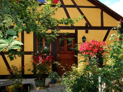 Jardin de l'établissement La Pomme de Pin