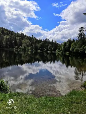 Paysage naturel près de l'appartement