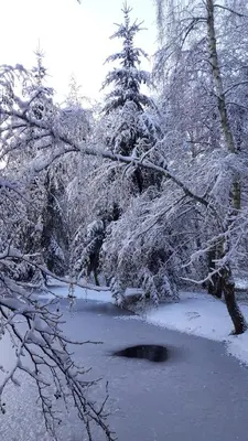L'établissement Insolite Tiny House Sérénité Bien Être en hiver