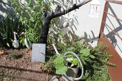 Jardin de l'établissement Gîte Le Cep d'Or Alsace