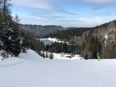 L'établissement Vue Panoramique - 800m pistes Hohneck - Wifi - classé 3 étoiles en hiver