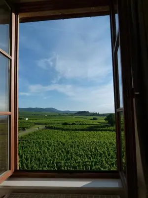 Paysage naturel près de l'appartement