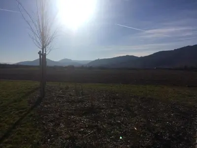 Paysage naturel près de l'appartement