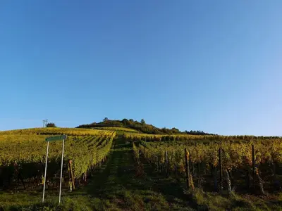 Paysage naturel près de l'appartement