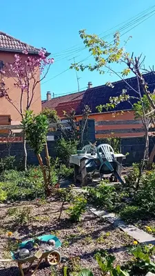 Jardin de l'établissement Chambre spacieuse dans joli village alsacien