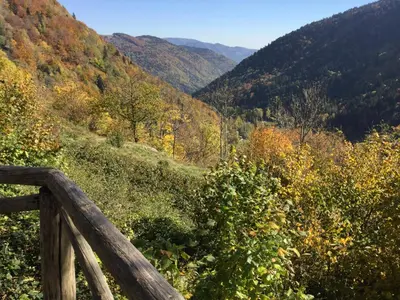 Paysage naturel près de l'appartement