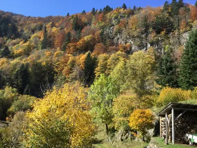Paysage naturel près de l'appartement
