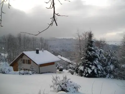 L'établissement Chalet de Montagne Chaleureux avec Cheminée, Terrasse et Proche Ski - FR-1-589-2 en hiver