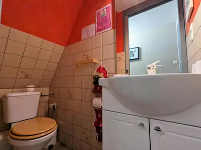 Salle de bains dans l'établissement Charmant chalet de montagne avec terrasse et vue imprenable - FR-1-589-72