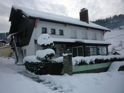 L'établissement Gîte confortable à La Bresse, proche centre-ville, nature et activités - FR-1-589-97 en hiver