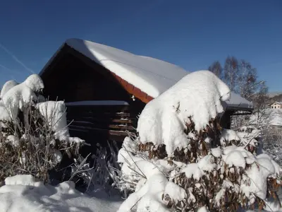 L'établissement Chalet spacieux près de Gérardmer avec terrasse, verger et activités montagne - FR-1-589-121 en hiver