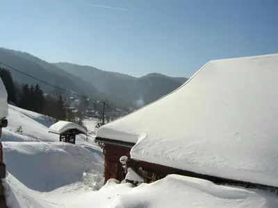 L'établissement Charmant Gîte avec Garage et Local Vélos au Pied des Pistes de La Bresse - FR-1-589-127 en hiver