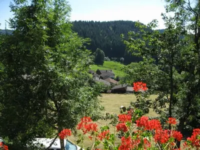 Paysage naturel près de la maison de vacances