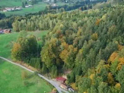 Plan de l'établissement Gîte rénové avec randonnées et ski à proximité, à 6 km de Remiremont - FR-1-589-151