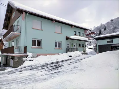 L'établissement Gîte chaleureux à La Bresse avec terrasse, barbecue et proche des pistes de ski - FR-1-589-189 en hiver