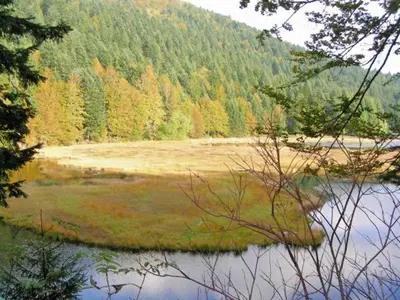 Paysage naturel près de la maison de vacances