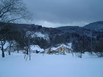 L'établissement Grande maison avec cheminée, proche nature, idéale pour familles et amis, animaux admis. - FR-1-589-229 en hiver