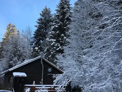 L'établissement Chalet cosy proche de Gérardmer et Colmar - Nature, WIFI, 2 chambres, terrasse, garage - FR-1-589-306 en hiver