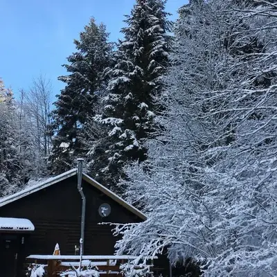 Chalet cosy proche de Gérardmer et Colmar - Nature