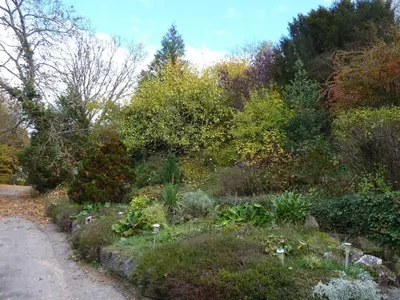 Jardin de l'établissement Appartements Maison Bellevue