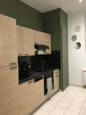 Cuisine ou kitchenette dans l'établissement Centre historique Colmar La COLLÉGIALE RESORT