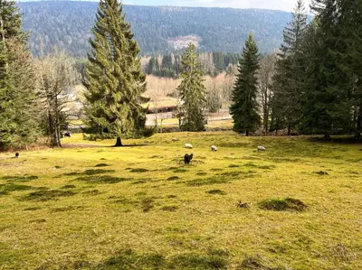 Paysage naturel près de la maison de vacances