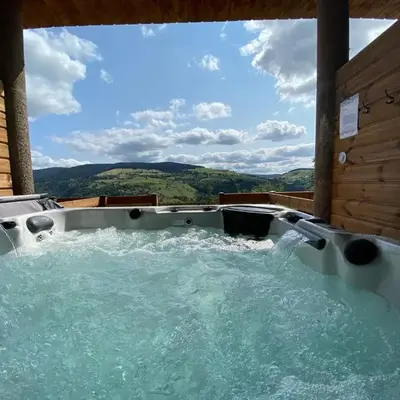 Ours Brun - Vue Panoramique La Bresse-Gerardmer