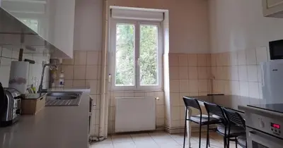 Cuisine ou kitchenette dans l'établissement Le Thannois - appartement 2 chambres, salon, cuisine équipée, parking et wifi gratuit