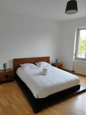 Un ou plusieurs lits dans un hébergement de l'établissement Le Thannois - appartement 2 chambres, salon, cuisine équipée, parking et wifi gratuit