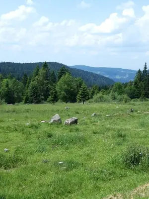 Paysage naturel près de l'appartement